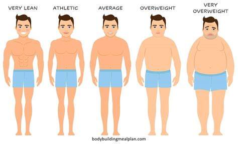 0 body fat percentage|calculating your body fat percentage.